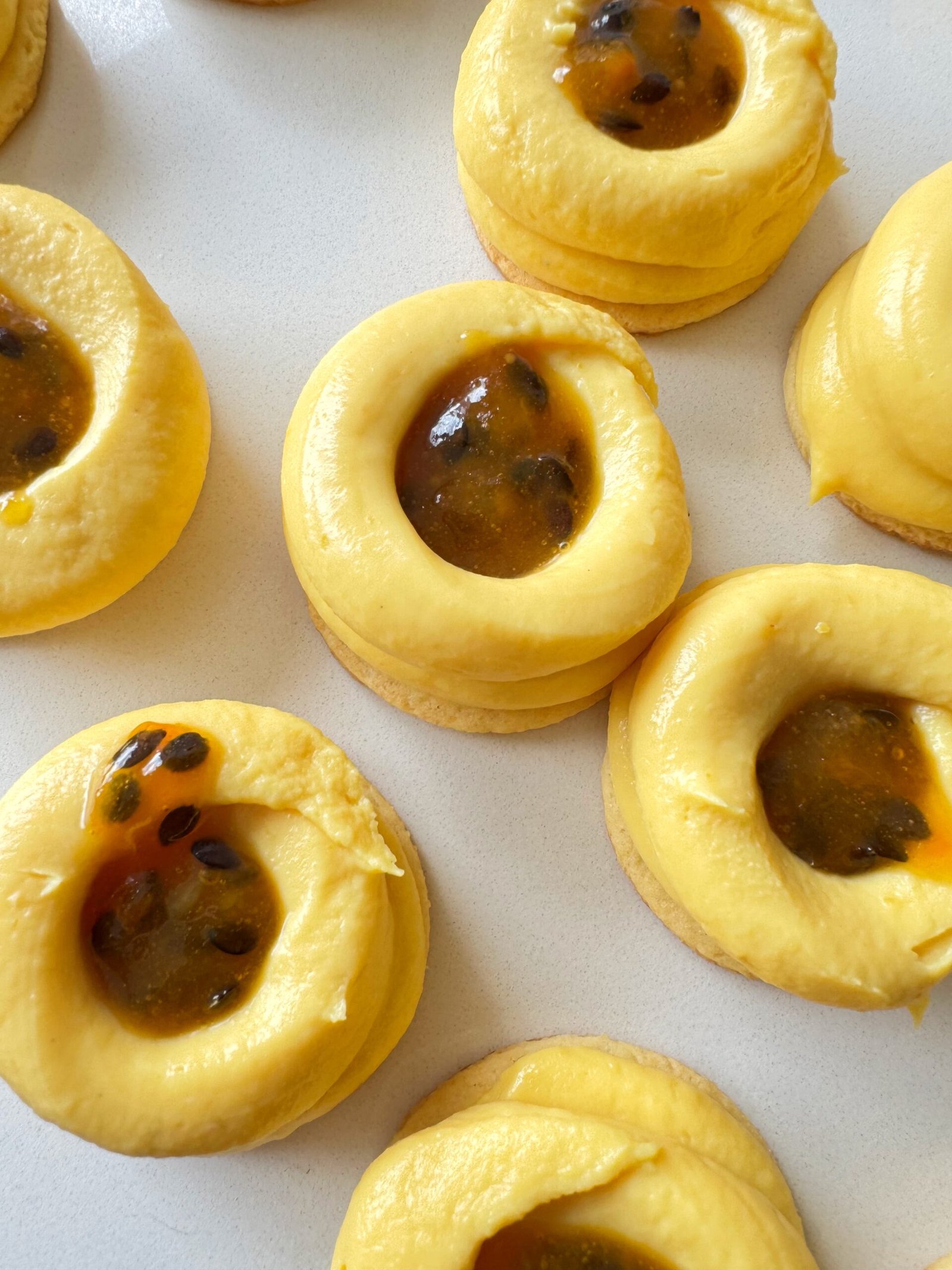 RELLENOS CON FIRMA NOLI VOLÚMEN 1 - Imagen 2